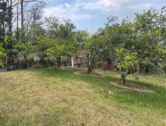 Venta de QUINTA, Concepción, SAN RAFAEL, HEREDIA