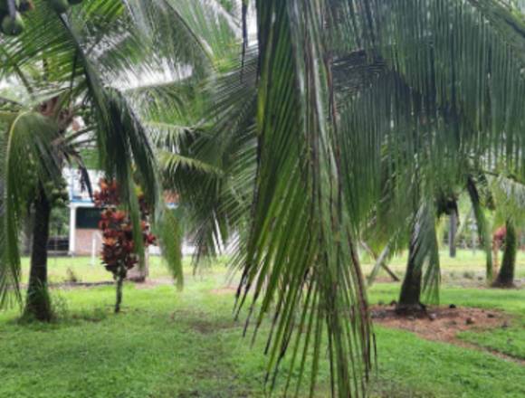 SE VENDE TERRENO EN HORQUETAS DE SARAPIQUI