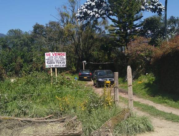 LOTE TABIO VEREDA PALO VERDE 