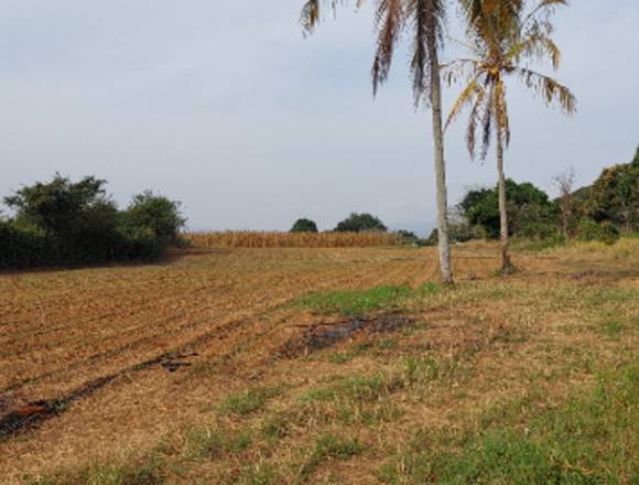 FINCA PRODUCTIVA EN IRIBARREN LARA