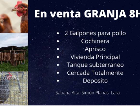 VENTA DE GRANJA EN PRODUCCION