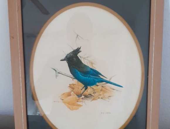 GRABADO DE M. G. LOATES, PAJARO AZUL, PAISAJE 