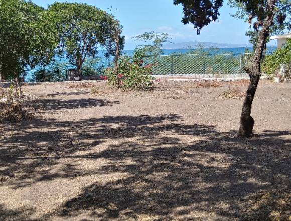 Terreno de Playa - Palmar de Ocoa