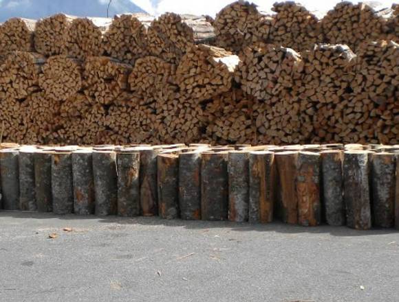 Trockenes Brennholz vorhanden