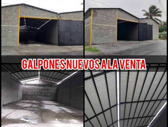 GALPONES NUEVOS A LA VENTA