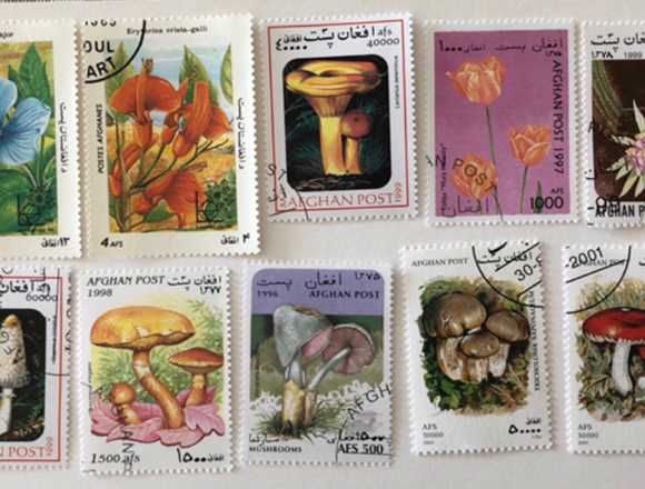 Lot of 10 CTO stamps with g.o. Afghanistan-flowers