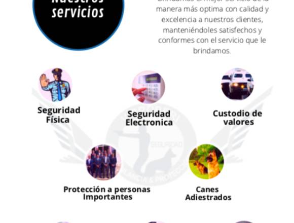 SERVICIOS DE SEGURIDAD PRIVADA