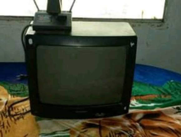 Televisor de 14 pulgadas