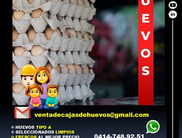 Venta de huevos al mayor grandes económicos