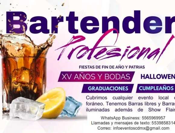 Bartender, Show flair y Barras libres.