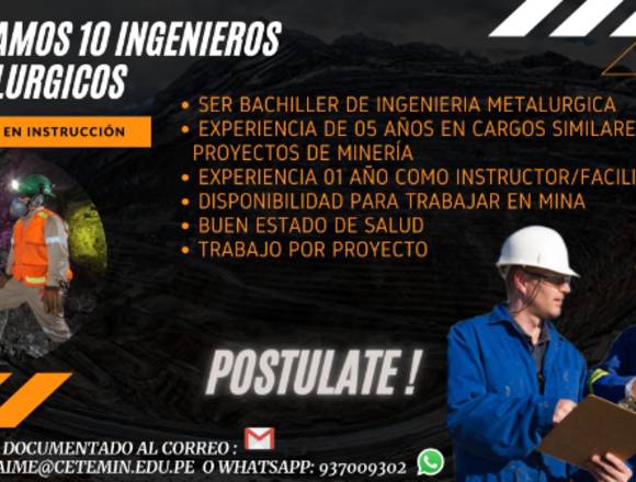 INGENIERO METALURGICO- EXP MINERIA