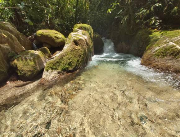 Vendo una finca de 50 hectáreas, selva.