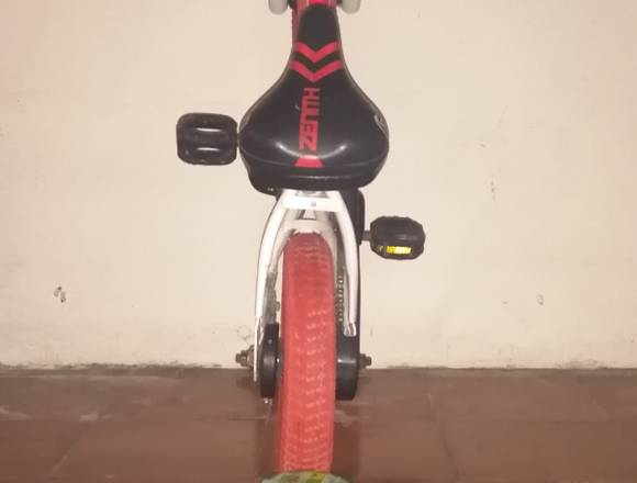 BICICLETA  MARCA ZENITH 