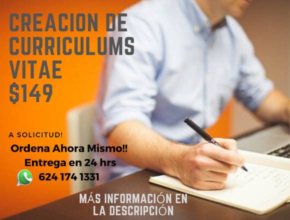 Creacion De Curriculums Vitae A Solicitud