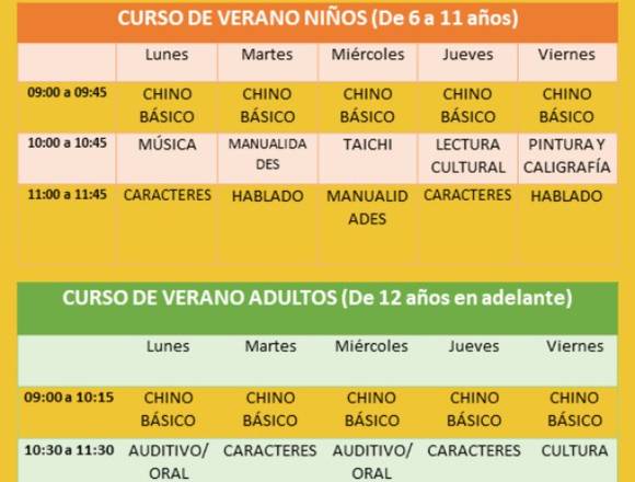 Curso de Verano en Línea