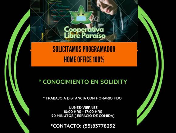 programador web, experiencia en SOLIDITY