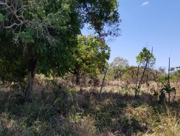 Se vende Lote de Playa en Gorgona