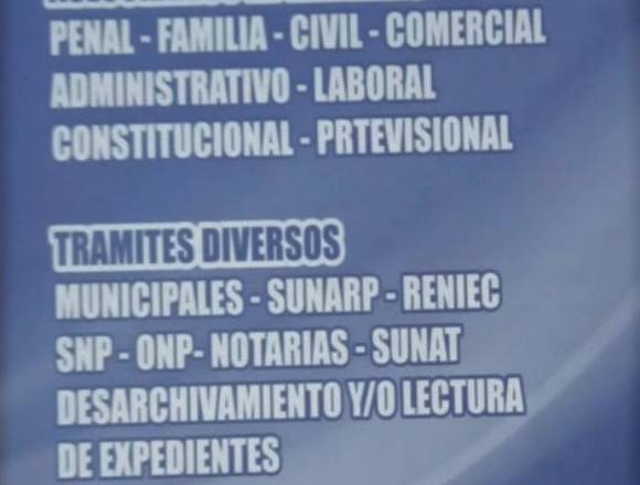 PRACTICANTE DE DERECHO 