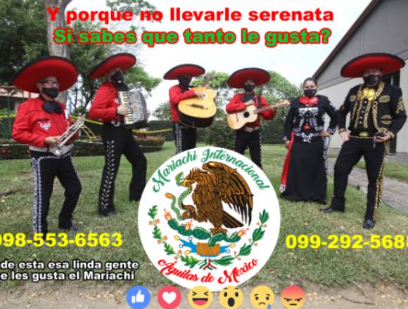 𝑴𝒂𝒓𝒊𝒂𝒄𝒉𝒊 Internacional Águilas de México