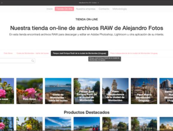 Diseño de sitios web