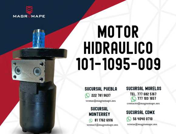 MOTOR HIDRAULICO 101-1095-009