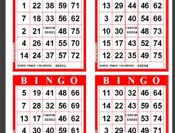 cartones desechables para bingo