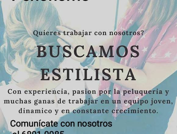 Estilista Profesional