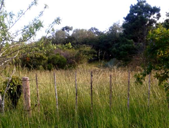 Terreno de 8.6 Ha en La Chorrerita-Penonomé.