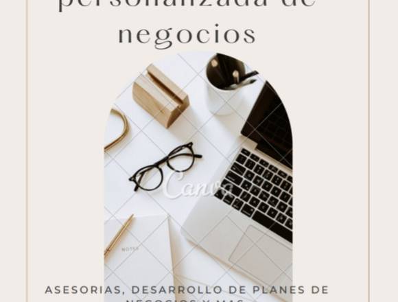 Asesorías y consultorías y creación negocios.