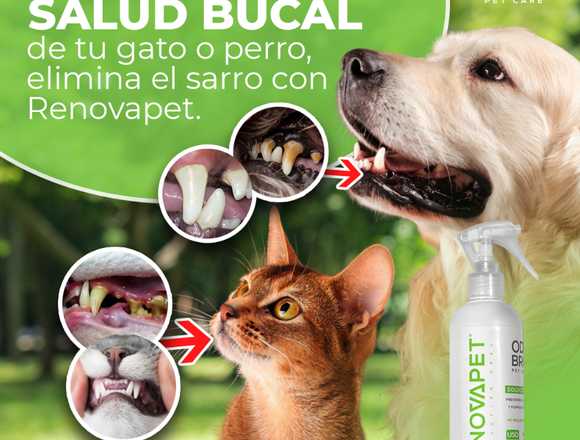 Elimina el Sarro de tu Mascotas con Renovapet Oral