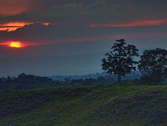 VENTA LOTE FILANDIA QUINDIO 