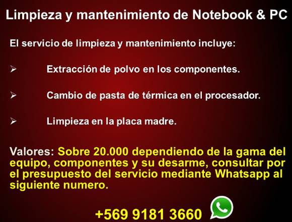 Limpieza & Mantenimiento - Notebook & PC