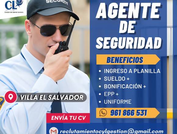 AGENTE DE SEGURIDAD - VES