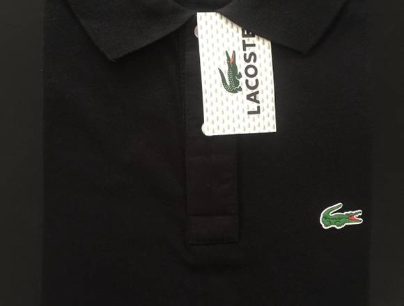 Camibusos tipo lacoste en venta disponibles