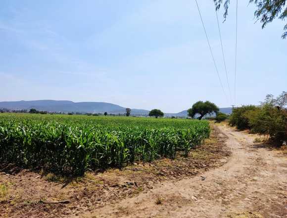 TERRENO 8.5 Has. EN VENTA, ZONA AGRÍCOLA