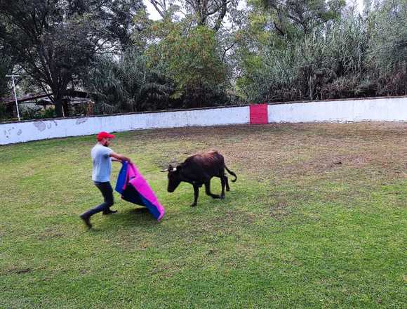 FIESTA VAQUERA CON HOSPEDAJE EN TEQUISQUIAPAN