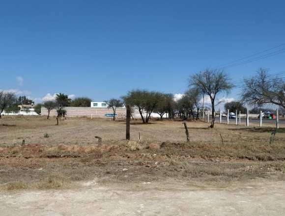 TERRENOS EN VENTA 1,250 M2 C/U A PIE DE CARRETERA