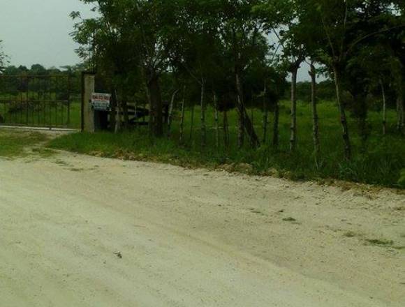 BÁVARO: TERRENOS PARA URBANIZACIÓN.