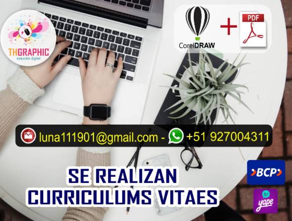 SE REALIZAN CURRICULUMS VITAES