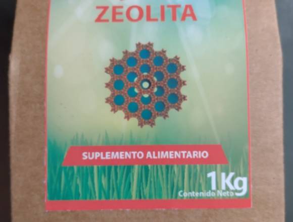 Zeolita Micronizada Clinoptilolita 1 Kg 