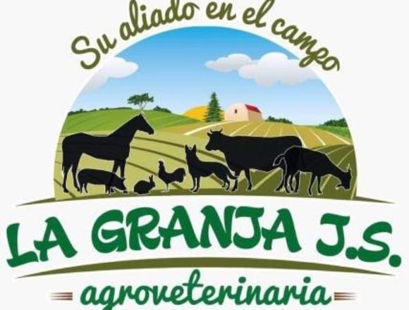 Servicios y atención veterinaria, atención médica