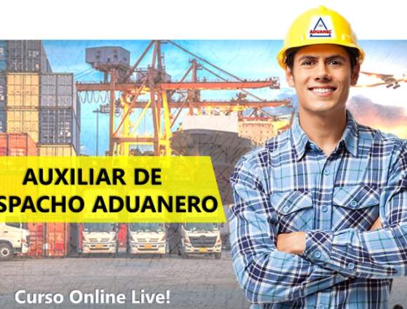 AUXILIAR DE DESPACHO ADUANERO - ONLINE LIVE