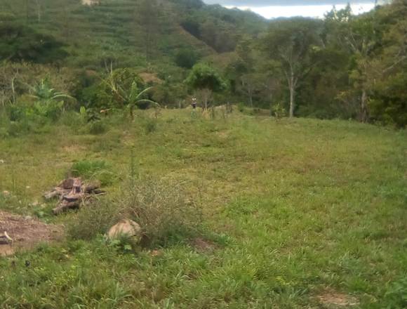 Finca en La Esmeralda de Coto Brus, urge vender