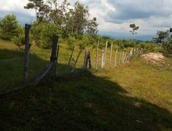 Vendo finca en la  en san Vicente de chucuri 