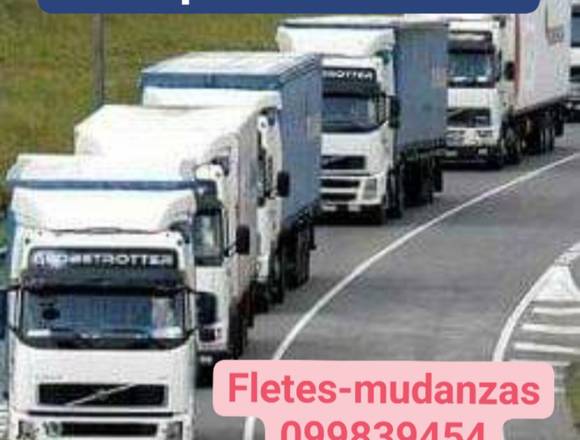 FLETES MUDANZAS TRANSPORTES  GUEVARA 