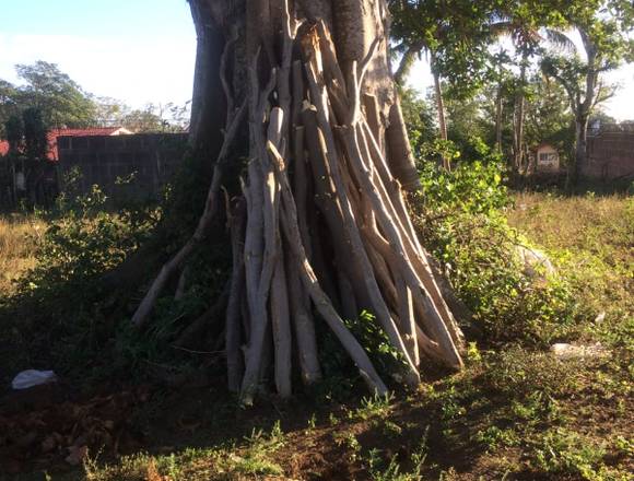 Bellísimo Terreno Plano en Diriamba