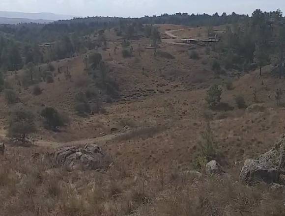 Hectareas en el Durazno 