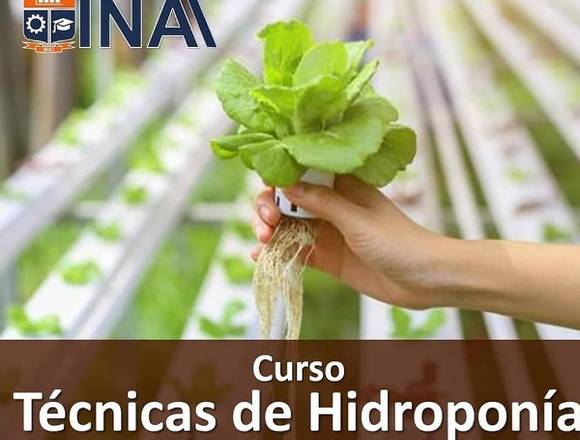 Técnico en Técnicas de Hidroponía