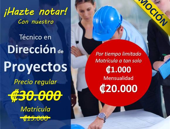 Técnico en Dirección de Proyectos