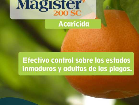 MAGISTER (producto para el campo)